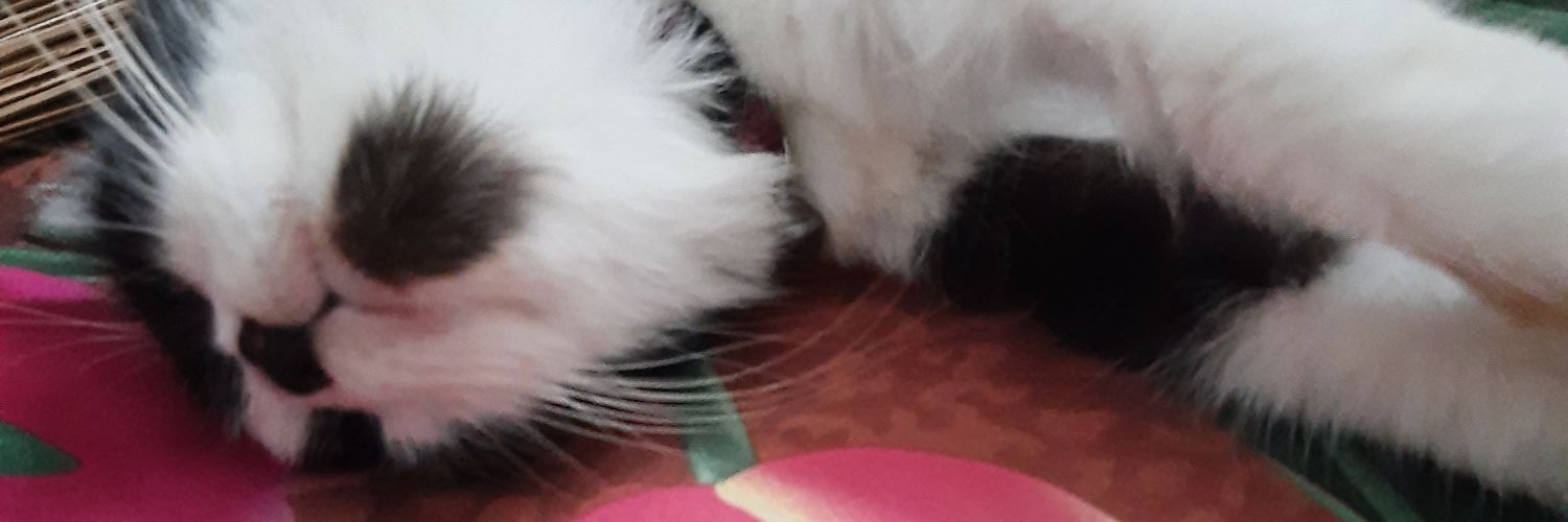 kileaaaaa's profile banner image