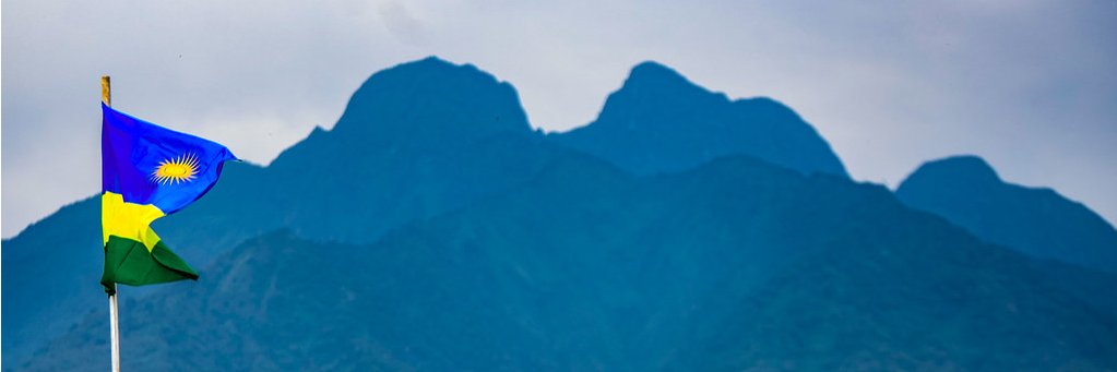 Aline_Ru's profile banner image