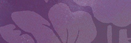 SindriDaBear's profile banner image
