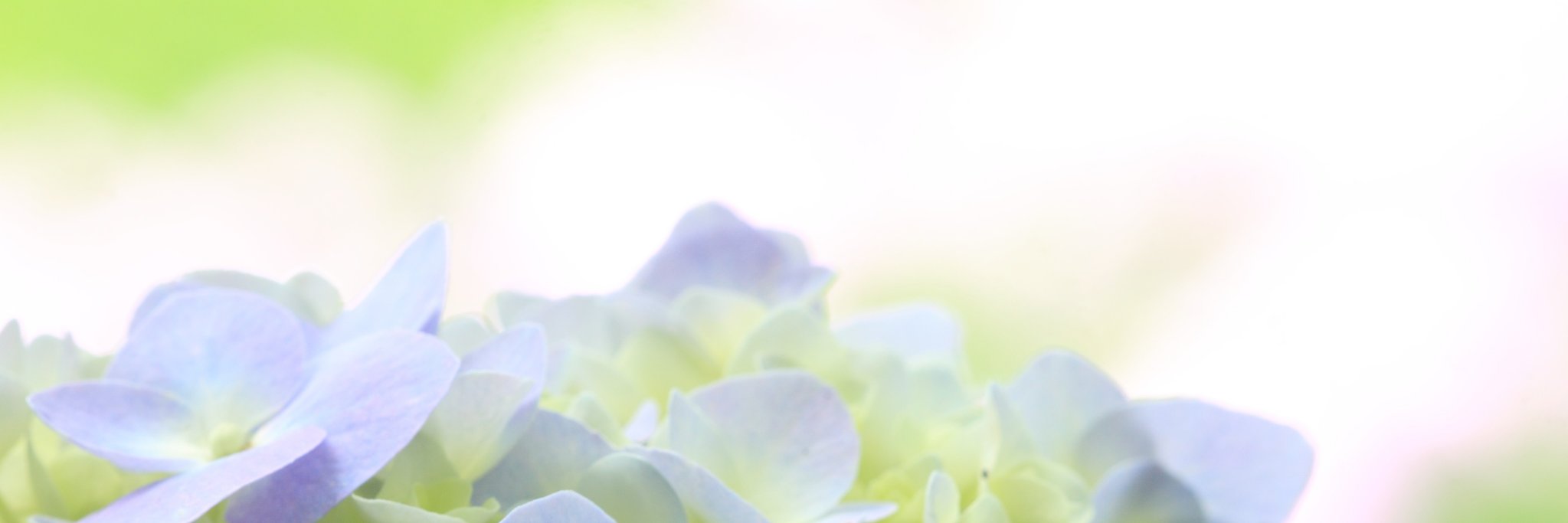 コメット banner