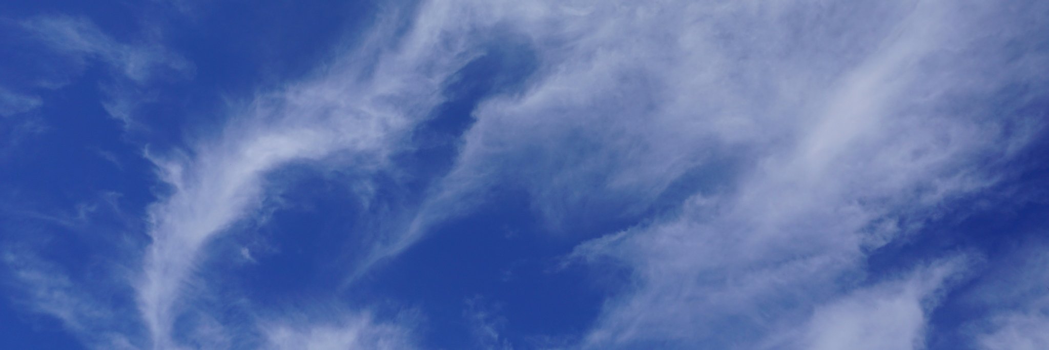 zone_tanichan's profile banner image