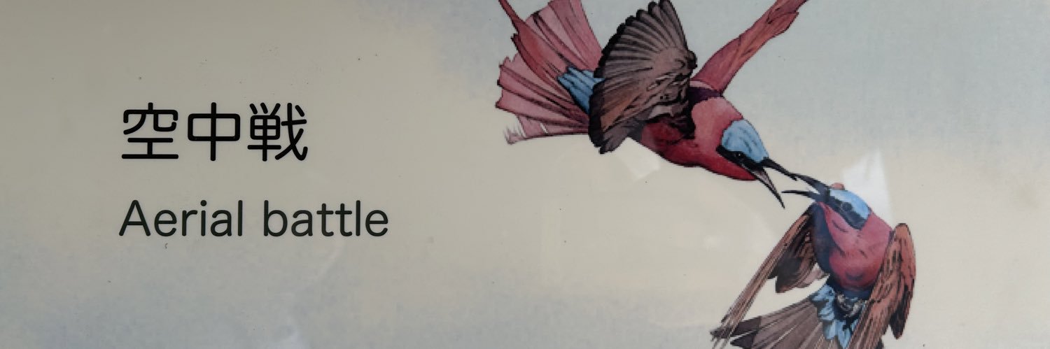 タナカエミ banner