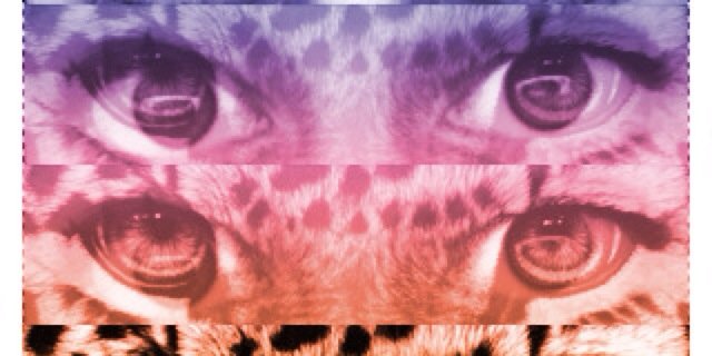 teagyluvs's profile banner image