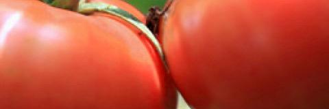 hjm_k's profile banner image