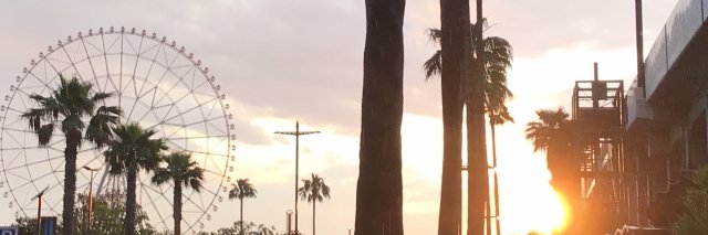 rock_miim's profile banner image