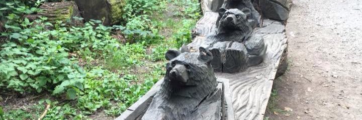 FriendsOfChisRec banner