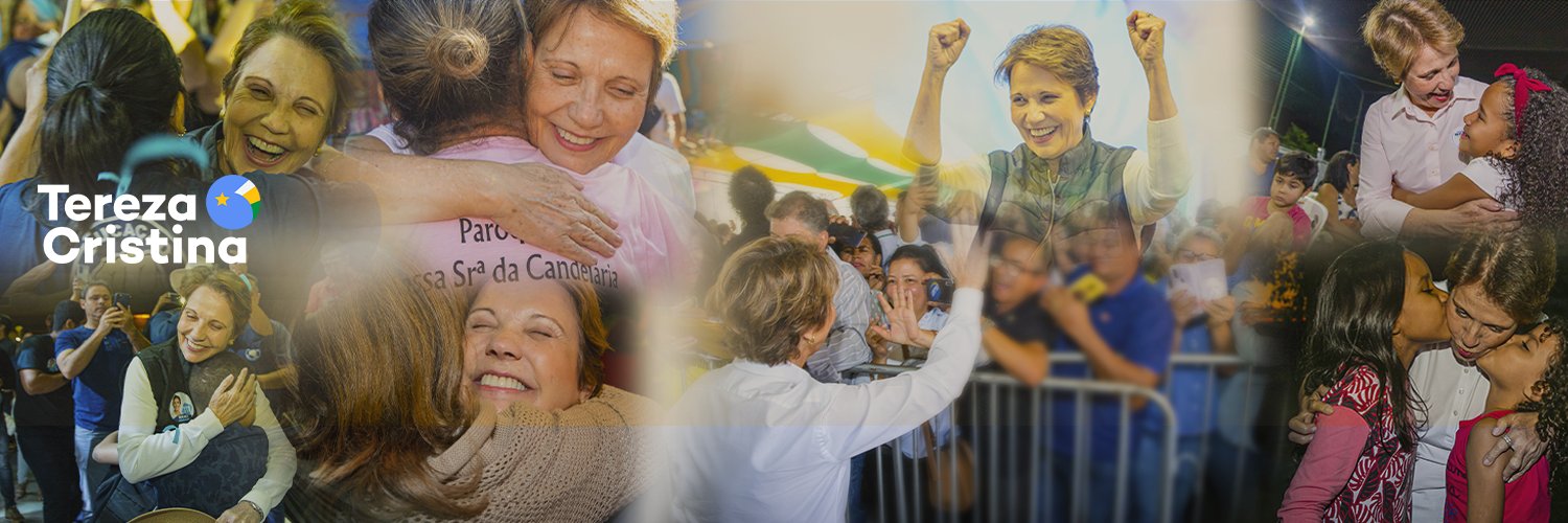 Tereza Cristina's banner