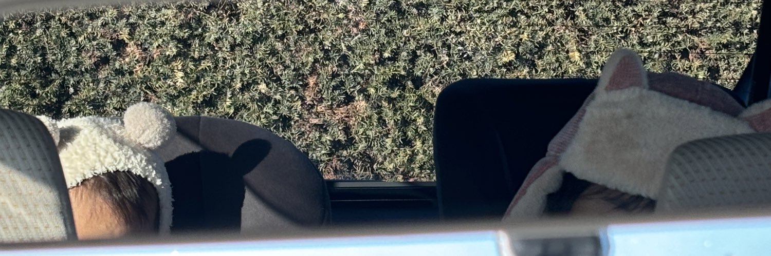 _sbds98_'s profile banner image