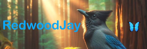 j2dumfounded Profile Banner