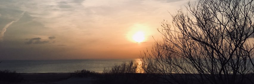 bolsh_'s profile banner image