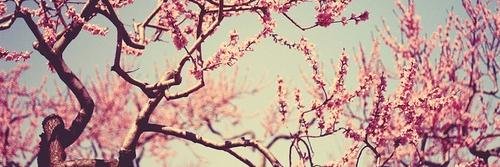 ddxx567's profile banner image