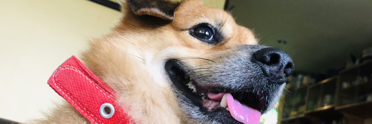 Cathytotzz's profile banner image