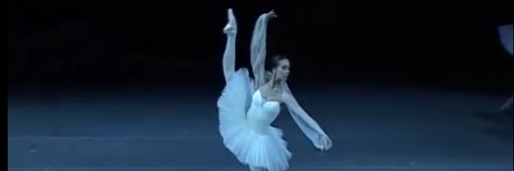 vaganovaballet's profile banner image