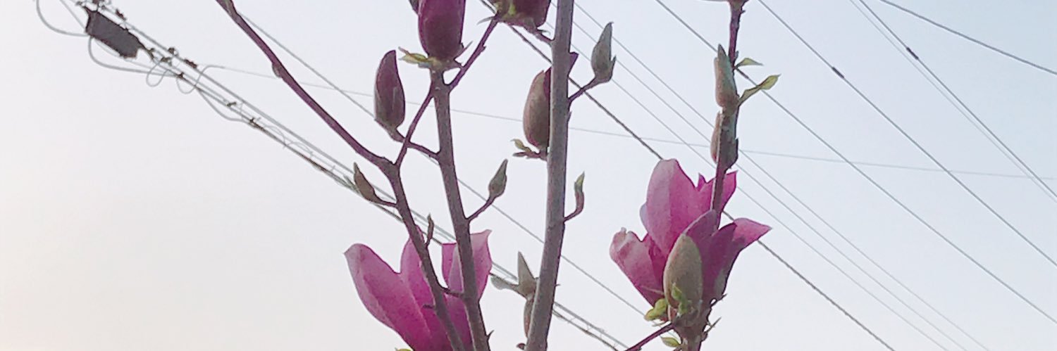 shigesaa0711's profile banner image