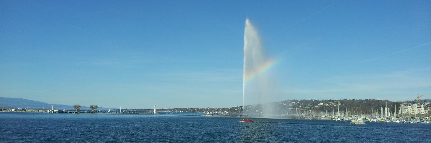 Dimiter Petrov banner