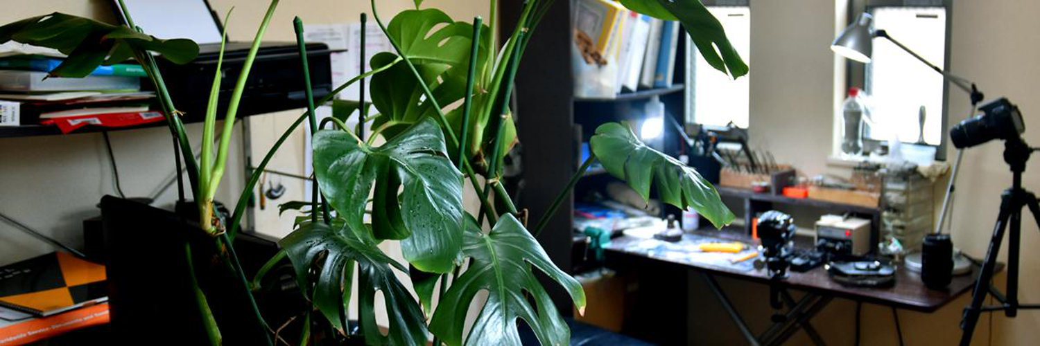 romy_canecry's profile banner image