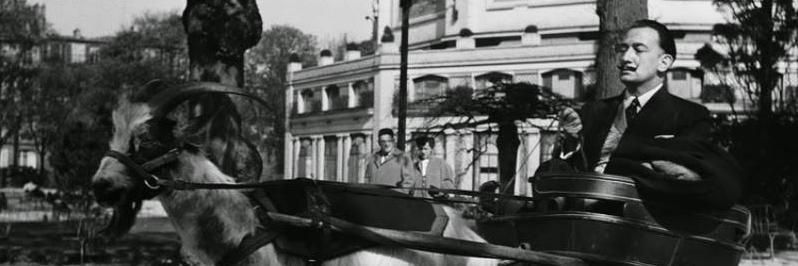 GDuerckheim's profile banner image