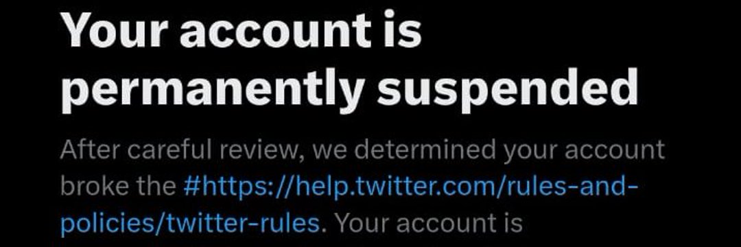 PaddyJManning banner