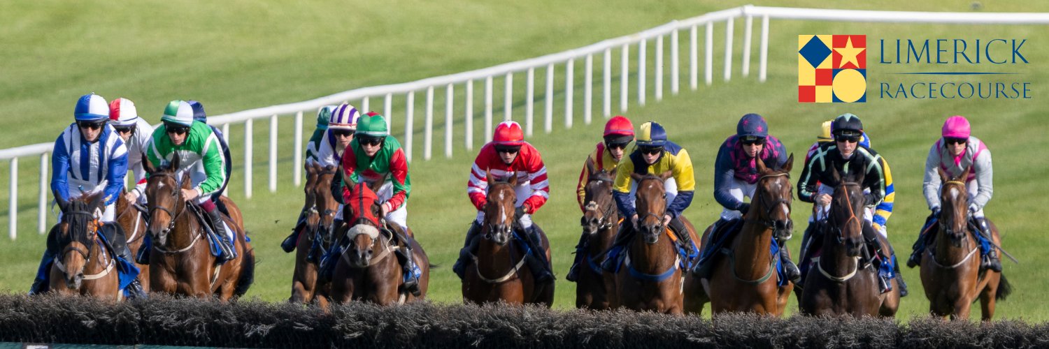 Limerick Races banner