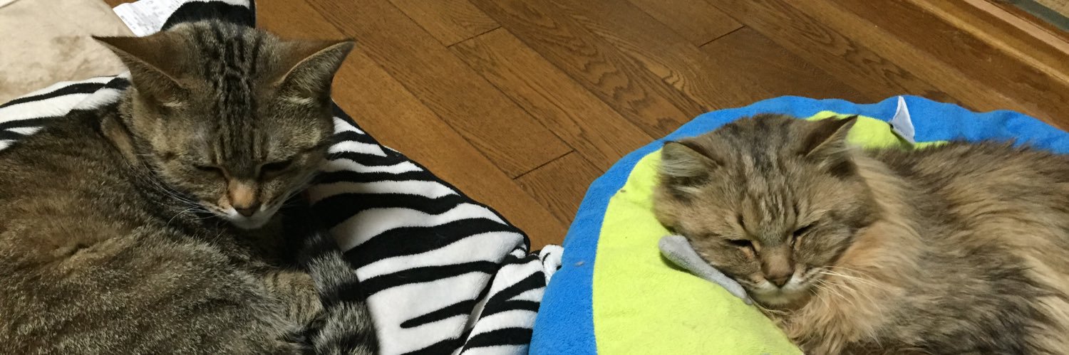 BroomsCerry's profile banner image