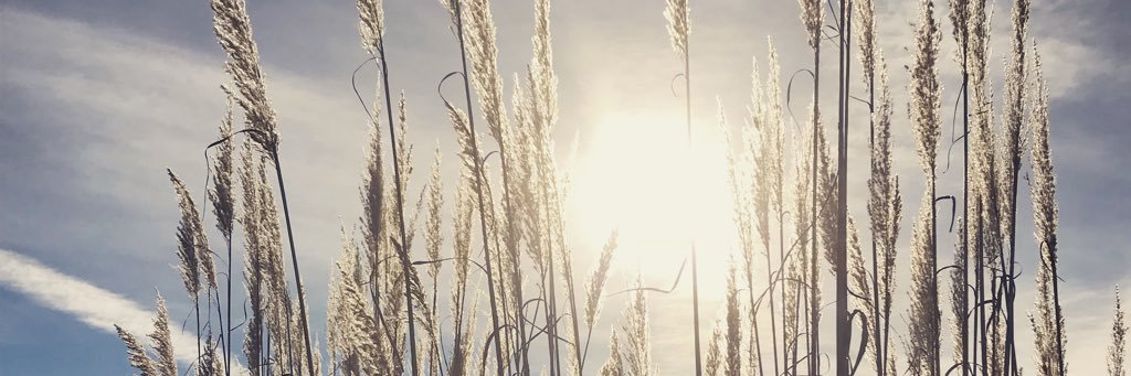 crainw422's profile banner image