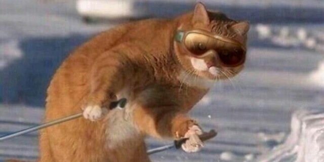 __Funny_Pics's profile banner image