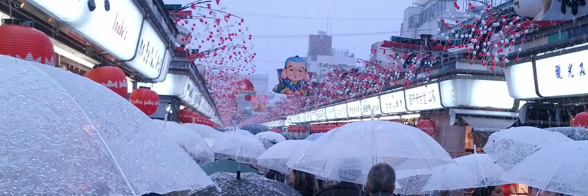 Danny Bozzuto banner