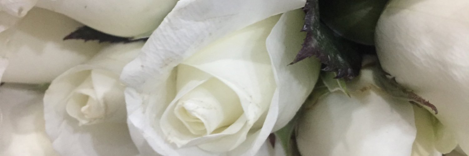 ebruakar1's profile banner image