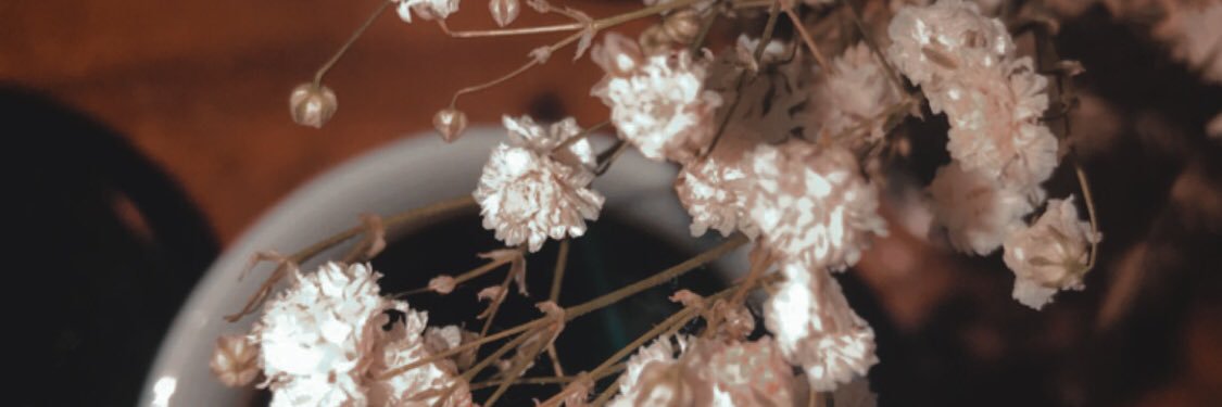 11R7_m's profile banner image