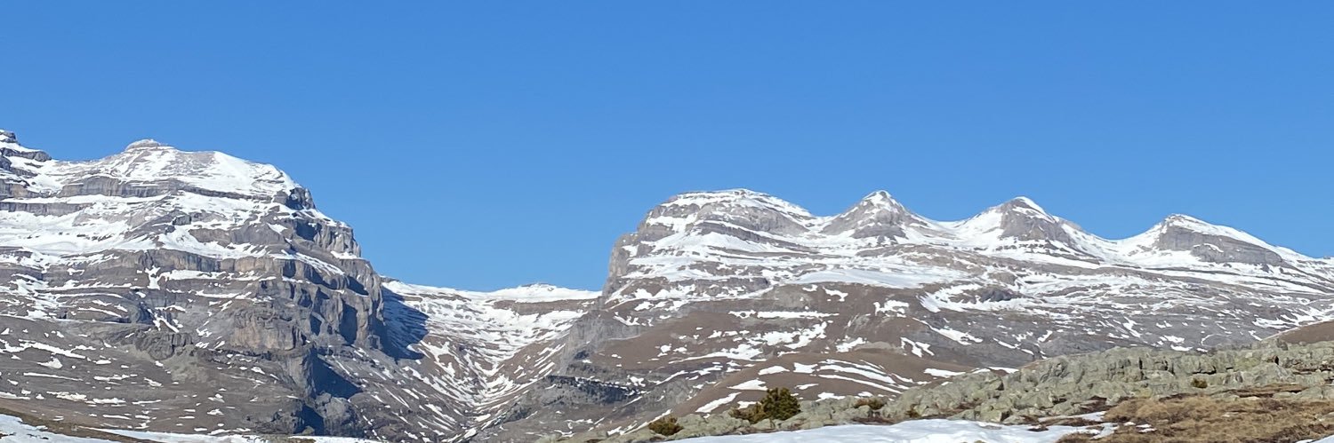 micaelamcdoo's profile banner image