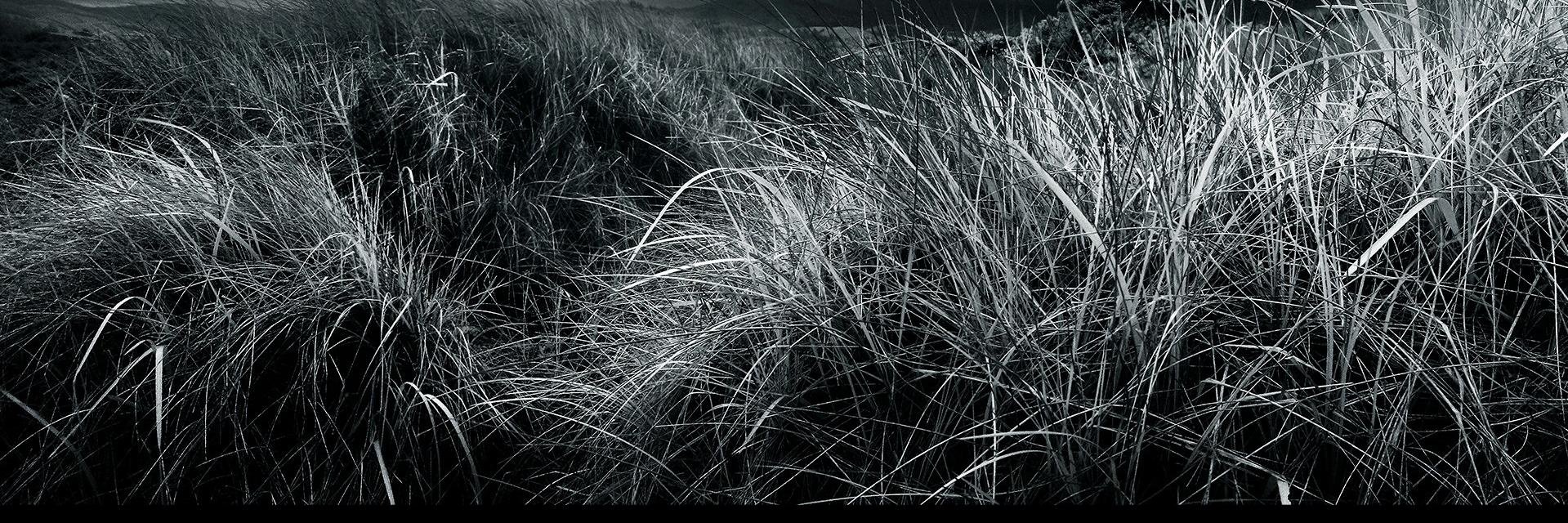 ayanalislam97's profile banner image