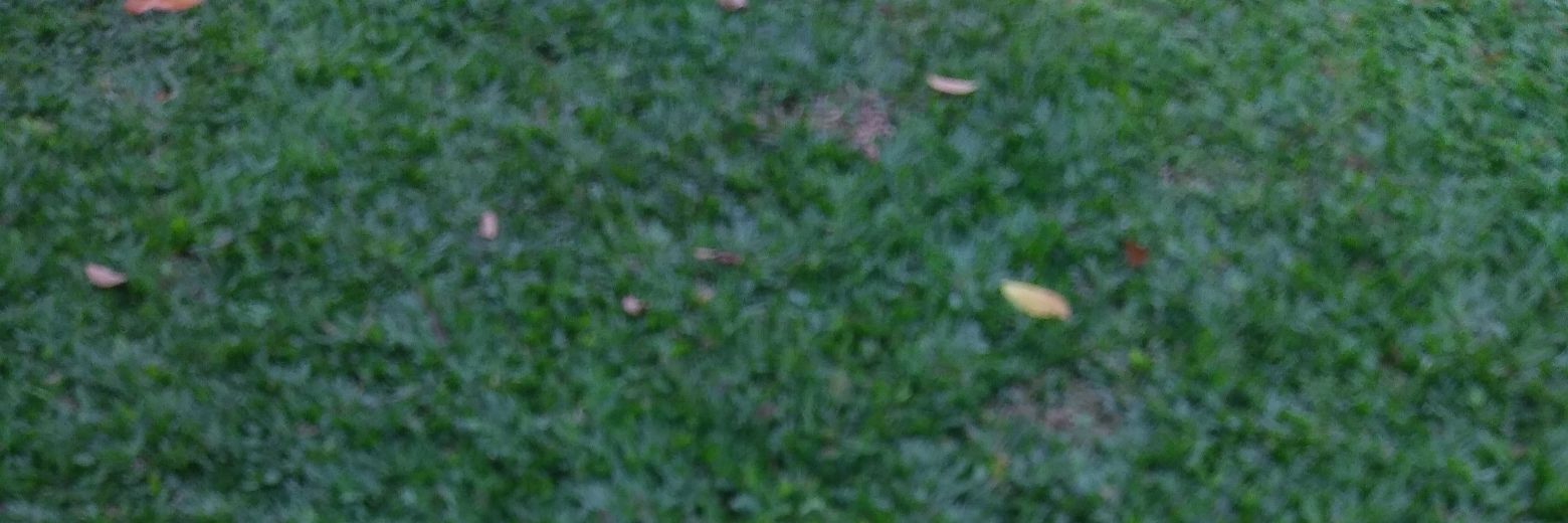 omi_kl's profile banner image