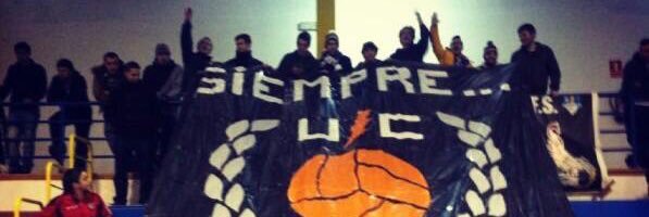 bigotes88 banner