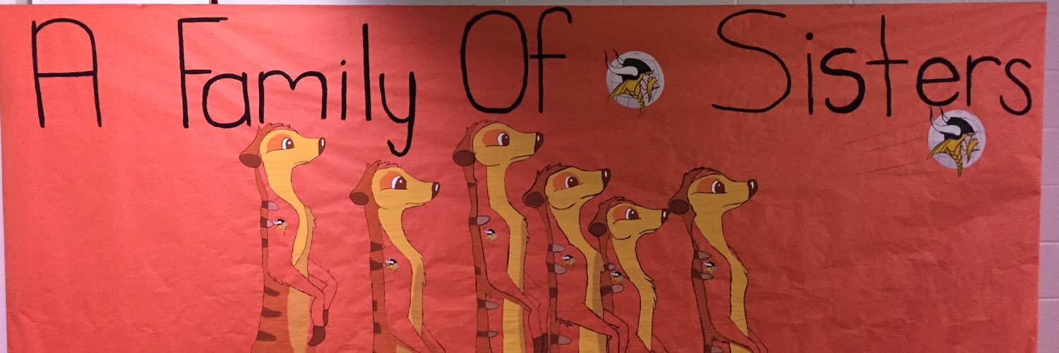 Pacevball's profile banner image