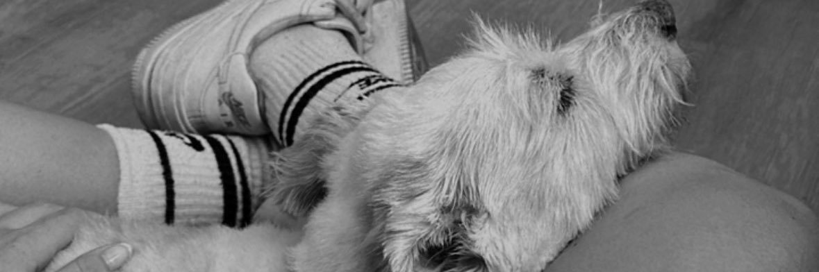 _lawiiwi's profile banner image