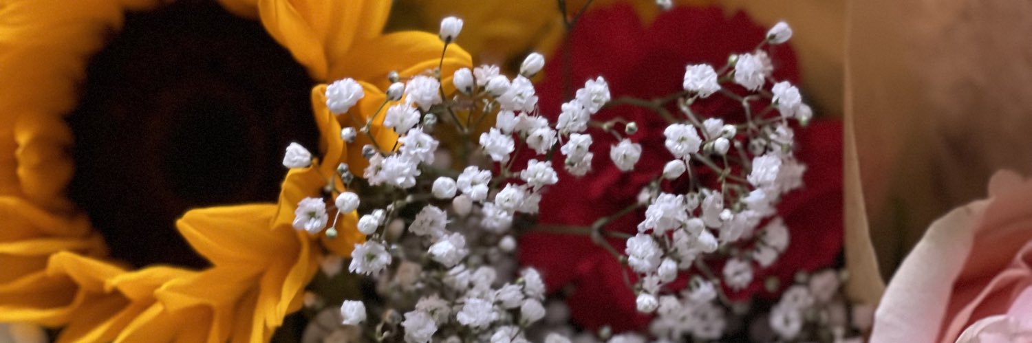 taliyahope's profile banner image