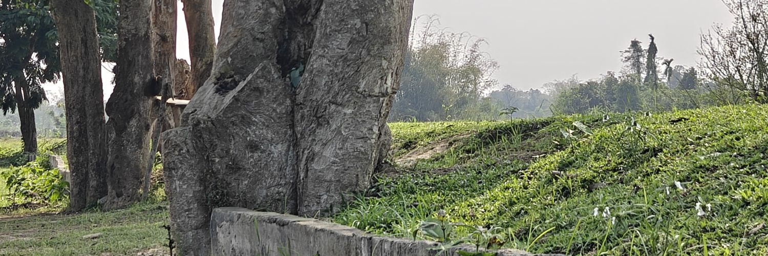 riyandutta's profile banner image
