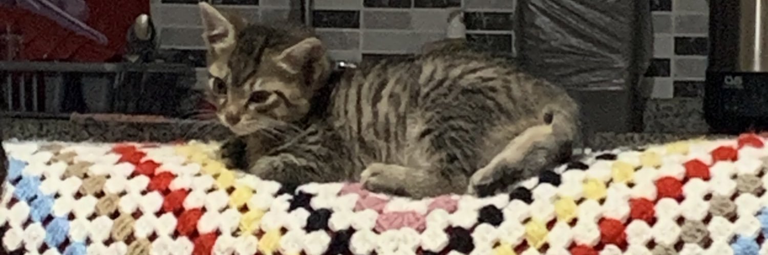 BirazMarjinalOl's profile banner image