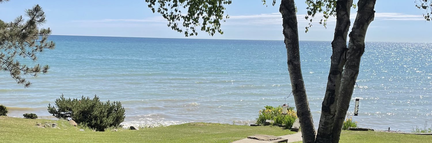 Vince Pardi 🇺🇸🇺🇦🇮🇹 banner