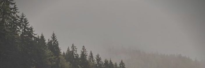 Michelle_Mohn's profile banner image