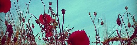 JoeOhio33's profile banner image