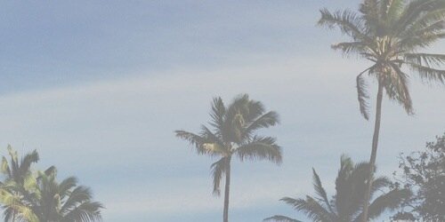 beermiagdr's profile banner image