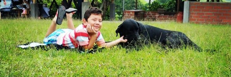 caroli_24's profile banner image