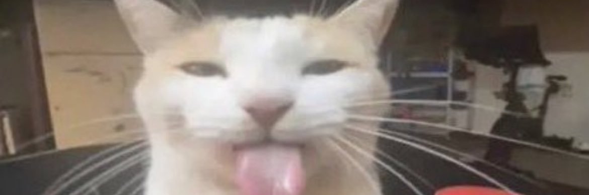TBEEKev's profile banner image