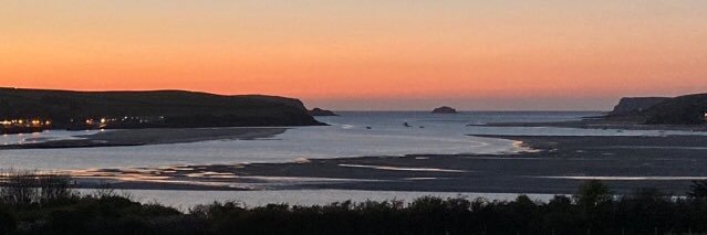 Sarah Lea 💙 banner