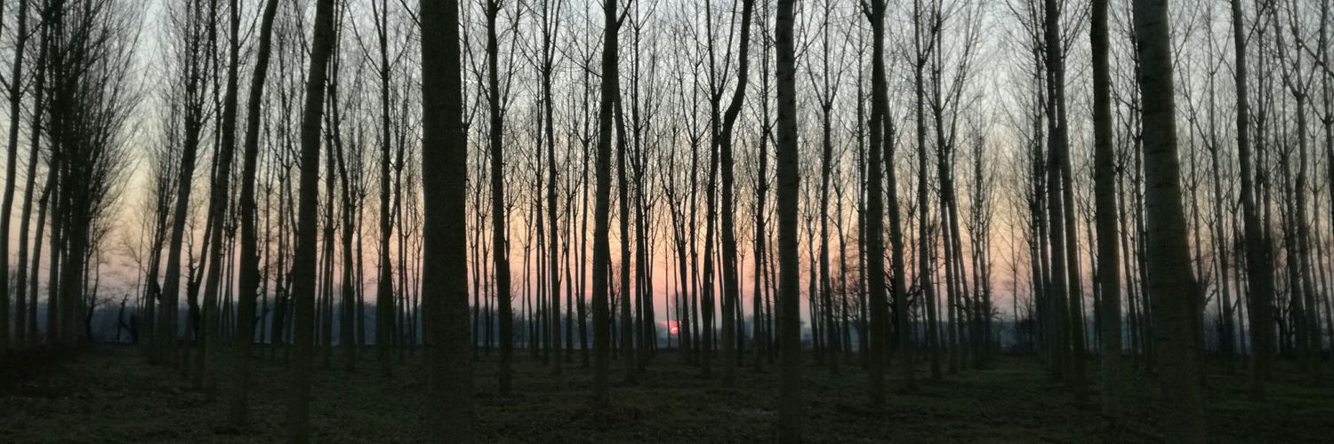 Quella_Bionda's profile banner image