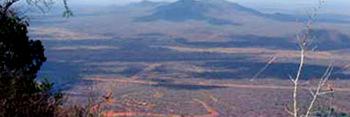 tony_fitzjohn's profile banner image