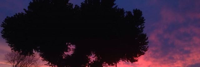 vparodi_s's profile banner image