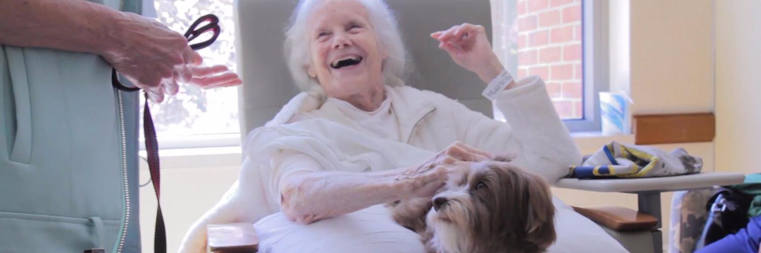 The Good Dog Foundation banner