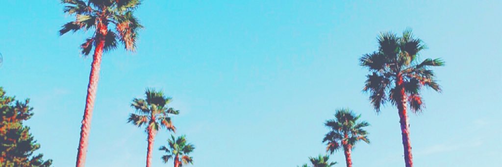 Pm_yuta's profile banner image
